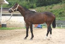 ������ (GUKTO SARANG) ����