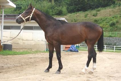 ������ ����