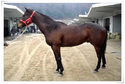 �����ǹ��� ����