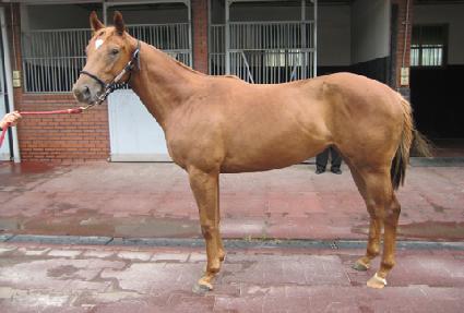 ����Ʈ ����