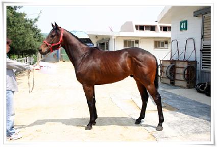 ���屺 ����