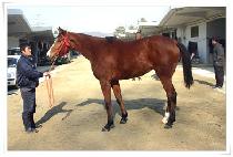 �̷鼺 (I RUN SEONG) ����