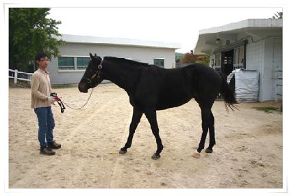 �ĲĴ�� ����