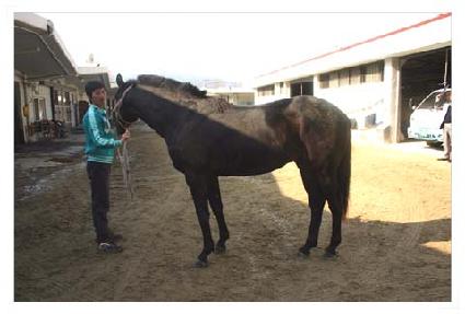 �۷θ�Ǯ ����