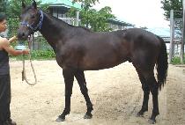 Ȱ¦���� (HWALJJAK USEUM) ����