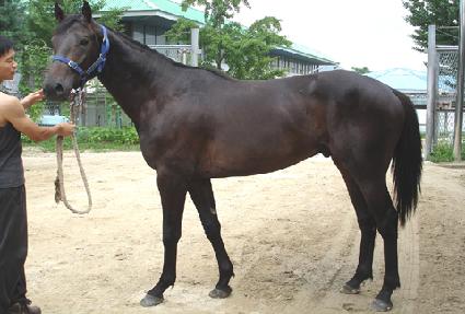 Ȱ¦���� ����