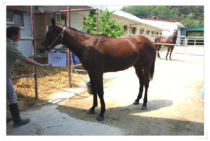 ����ũ ����