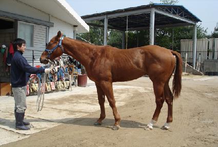 �¾�ó�� ����