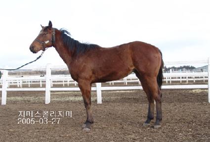 ���Ŭ�� ����