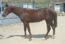 ��Ʈ�¾�ħ (DONGTEUNEUN ACHIM) ����