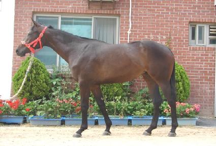 �ְ���Ʈ ����