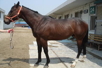 ���ڴ�� ����