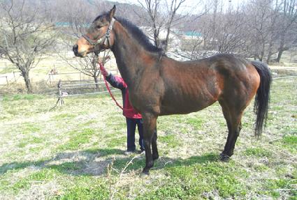 ���ؼ� ����