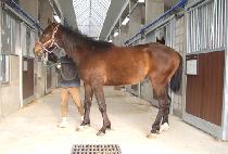 ������ (OPERAMAN) ����