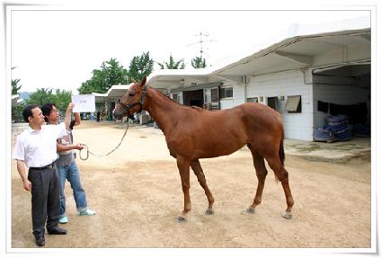 ���� ����