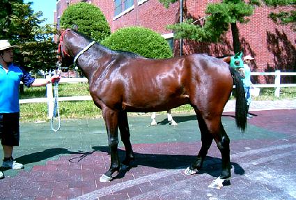 ���ѳ��� ����