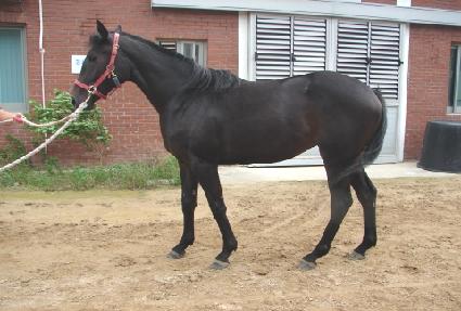 ���Ӻ� ����