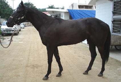 �������� ����