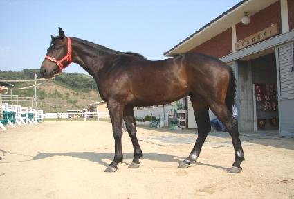 ������ ����