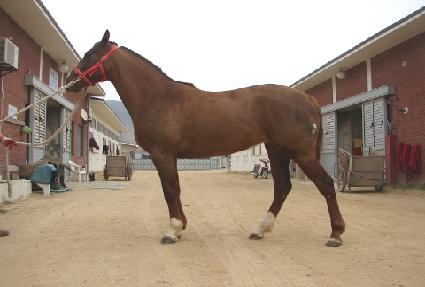 ���ڽ��� ����