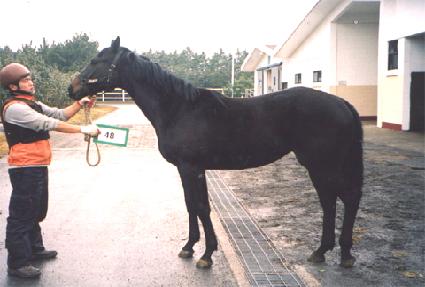 ���ѷ� ����