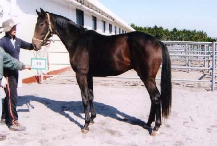 ���̿��� ����