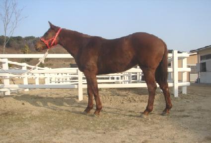 �뱸ī�ж� ����