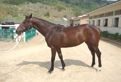 ��� ����