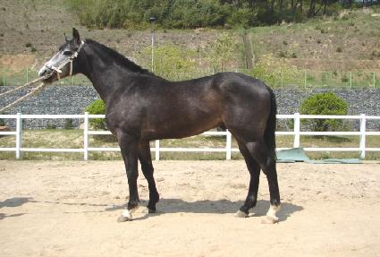 �ϼ�ź�� ����