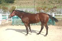 �¸��뼼 (SEUNGNI DAESE) ����