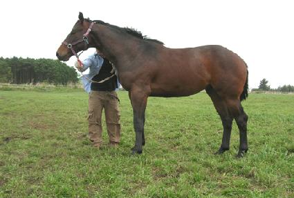 ���׷���Ʈ ����