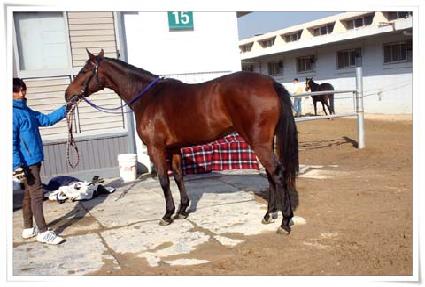 ������ ����