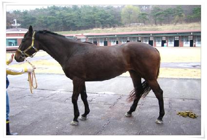 ���� ����