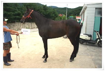 �������� ����