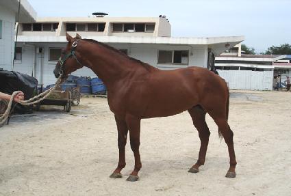 ��ü���� ����