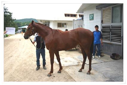 ���ǵ巹�̵� ����