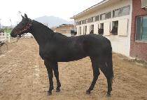 ��Ʈ��Ʈ���� (STREET WORLD) ����