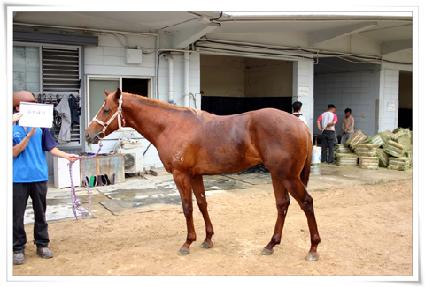 ����� ����