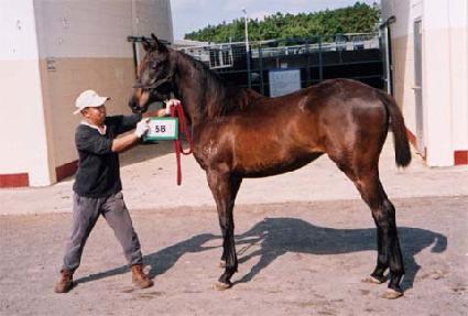 ���Ÿ�̰� ����