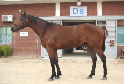 ��Ŀ������ ����