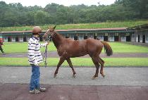 ���ϵ庸�� (WILD BOY) ����