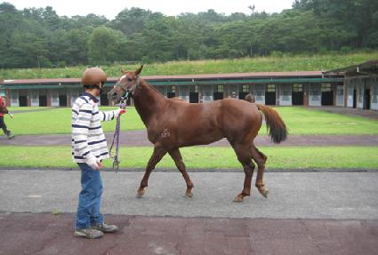 ���ϵ庸�� ����