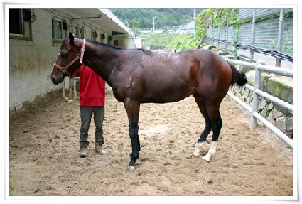 ���̾�Ʈ���� ����