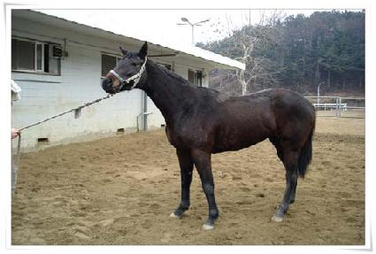 �޺����� ����