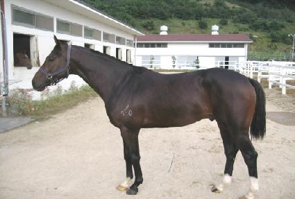 ���Ƶ帲 ����