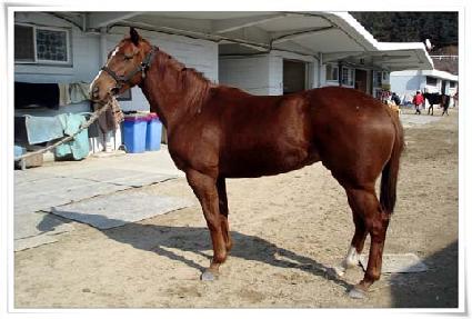 �ù� ����