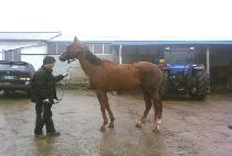 ŵ�� (KEEP RUN) ����