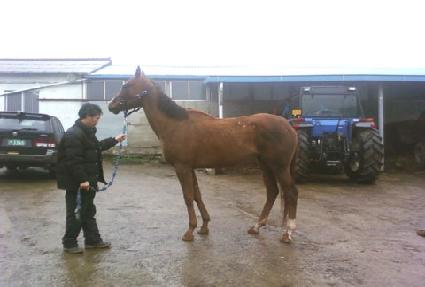 ŵ�� ����