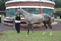 �������� (EUNBIT CHUKJE) ����