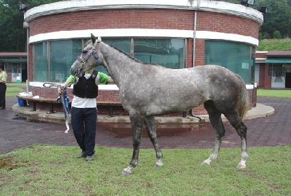 �������� ����